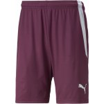 Puma teamLIGA Shorts – Zboží Mobilmania