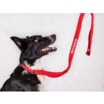 Agility vodítko REMOVE BEFORE RUN – Hledejceny.cz