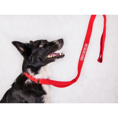 Agility vodítko REMOVE BEFORE RUN – Hledejceny.cz