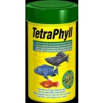 Tetra Phyll 100 ml – Sleviste.cz