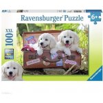 Ravensburger Oddych štěňata v kufru 100 dílků – Zboží Dáma