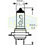 Trifa X-Blue H7 PX26d 24V 70W