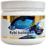 Golden Nature Rybí kolagen + vitamín C borůvka 250 g – Hledejceny.cz