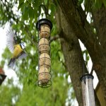 Esschert Design Zásobník na lojové koule Best for Birds závěsný 24 x 8 cm černá – Hledejceny.cz
