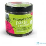 Irel Ostropestřecová pasta s medem 250 g – Hledejceny.cz
