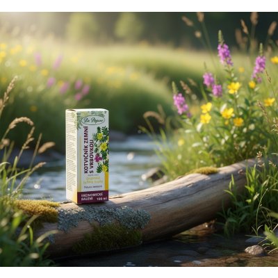 Dr. Popov Kotvičník pozemní s vrbovkou originální bylinné kapky 100 ml – Hledejceny.cz