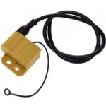Zapalovací cívka s CDI modulem 2T Minarelli AM6 12V | Zboží Auto