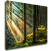 Obraz Impresi Obraz Paprsky slunce v lese - 90 x 70 cm
