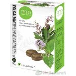 Fytopharma FOLSALVIN bylinné pastilky s vitamínem C 30 ks – Hledejceny.cz