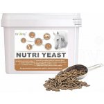 Dromy Nutri Yeast 6 kg – Zboží Dáma