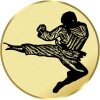 Sportovní medaile Bojové sporty emblém LTK169M