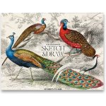 Shkolyaryk Skicák Muse Sketch A4+ 40 listů 115 g – Hledejceny.cz