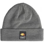 Colourwear Ipa beanie šedý – Hledejceny.cz