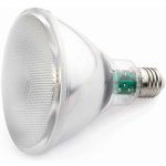 FARO LED žárovka E27 PAR38 LED 10W 4000K – Hledejceny.cz