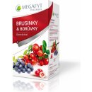 Čaj Megafyt Ovocný Brusinky borůvky 20 x 2 g