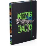 Karton P+P A4 Premium dinosaurus 3-75823 – Sleviste.cz