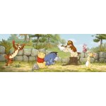 Komar 1-412 fototapeta Disney Medvídek Pú se učí 202 cm x 73 cm – Zboží Dáma