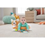 Mattel Fisher-Price Polštářek pod bříško pejsek HJW10 – Zboží Mobilmania