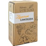 Farma u tří Dubů Zázvorová limonáda 3 l – Zbozi.Blesk.cz