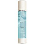 Matrix Total Results High Amplify Firm hold Hairspray 400 ml – Zbozi.Blesk.cz