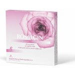 ROSALGIN VAG 500MG VAG GRA SOL 6 – Hledejceny.cz