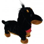 Pejsek Jonatán na vodítku – Zbozi.Blesk.cz