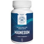Alg-Borje Marine Magnesium 220 mg 90 tablet – Hledejceny.cz