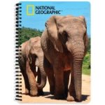 Alltoys Sešit 3D A5 Sloni – Zbozi.Blesk.cz