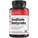 Vitafit Nutrition Butyrát sodný 250 kapslí – Hledejceny.cz