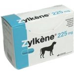 Vetoquinol Zylkene 450 mg pro velké psy od 15 kg do 60 kg 100 kapslí – Zbozi.Blesk.cz