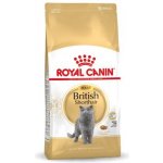 Royal Canin FBN British Shorthair Adult 10 kg – Hledejceny.cz