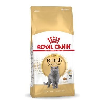 Royal Canin FBN British Shorthair Adult 10 kg – Hledejceny.cz