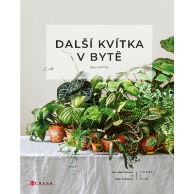 Další kvítka v bytě: Ruce od hlíny - Veronika Ježková, Nikol Francová