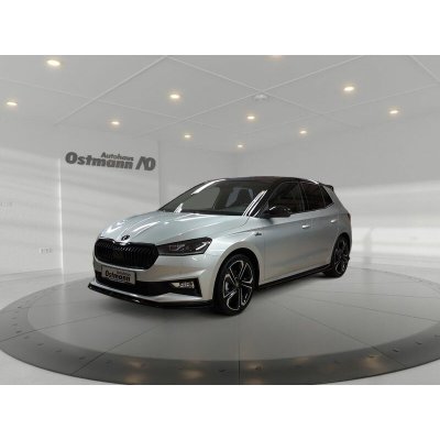 Skoda Fabia 140 kW | Zboží Auto