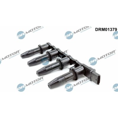 Zapalovací cívka Dr.Motor Automotive DRM01379 – Hledejceny.cz