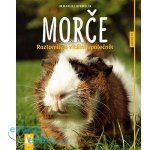 Morče - Roztomilý a vitální společník – Hledejceny.cz