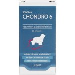 Univit Roboran Chondro 6 60 tbl – Hledejceny.cz