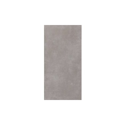 Pamesa Talent gris 60 x 120 cm 50.869.2.2874 1,44m² – Zboží Mobilmania