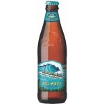 KONA BIG WAVE GOLDEN ALE 10 4,4% 0,355 l (sklo) – Zboží Dáma