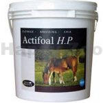 Horse Master Actifoal 20 kg – Hledejceny.cz