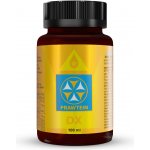 Bewit PRAWTEIN DX 100 ml – Hledejceny.cz