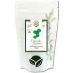 Salvia Paradise Chlorella Japanese dezintegrovaná HQ 250 g – Hledejceny.cz