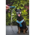 Vsepropejska Havi postroj pro psa s vodítkem – Zbozi.Blesk.cz