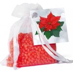 Boles d´olor Sáček vonný ORGANZA Poinsettia Vánoční hvězda 30 g – Hledejceny.cz