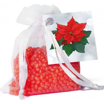 Boles d´olor Sáček vonný ORGANZA Poinsettia Vánoční hvězda 30 g – Hledejceny.cz