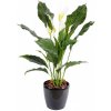 Květina Umělá květina Spathiphyllum - Lopatkovec PVC, 80cm