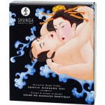 Shunga Body Massage Gel 2 x 250 ml exotické ovoce – Sleviste.cz