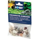 Hobby Sea Shells Set S 20 ks – Hledejceny.cz