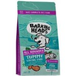 Barking Heads All Hounder Tummy Lovin' Care Fish 2 kg – Hledejceny.cz