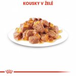 Royal Canin Hair & Skin Care jelly 12 x 85 g – Hledejceny.cz